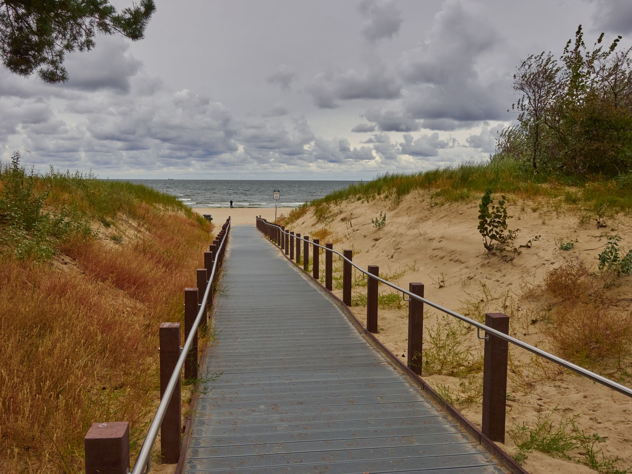 Landschaft 2024  1758 Usedom